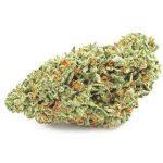 Шишки OG Kush  (Гидропоника, бошки) VHQ в Моздоке